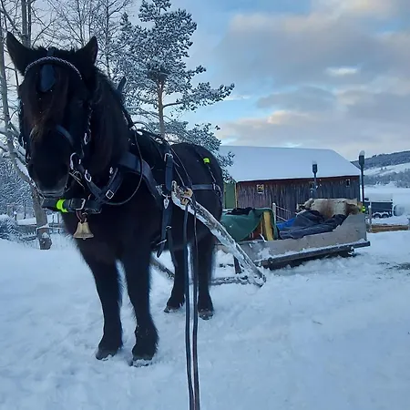 Fantgrenda Overnatting Os (Hedmark)